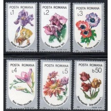 ROMÊNIA - 1986 - 3677/3682 - SÉRIE COM 6 SELOS - FLORA - FLORES DIVERSAS