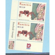 NAMBIA - 2008 - INSETOS